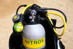 Nitrox Diver